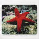 Search for red sande mouse mats Coast
