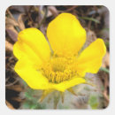 Search for north to alaska stickers Usa