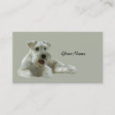Search for schnauzer business cards Puppy