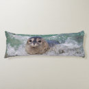 Search for danita delimont cushions California