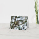 Search for cap horizontal note cards Chickadee