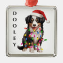 Search for mini christmas tree decorations Dog
