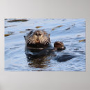 Search for sea otter posters Ocean