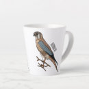 Search for american kestrel mugs Bird