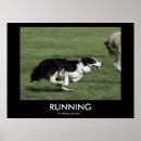 Search for herding dog posters Sheep