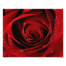 Search for fractal posters Graphic