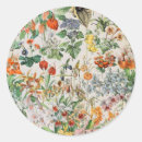 Search for adolphe stickers French