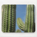 Search for barrell mouse mats Nature