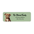Search for pitbull return address labels Puppy
