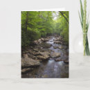 Search for mountain stream cards Trees