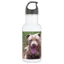 Search for bull water bottles Animals