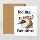 Search for funny corgis postcards Welsh