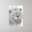 Search for african lion canvas prints Safari