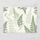 Search for frond postcards Botanical