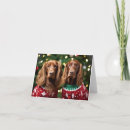 Search for irish christmas cards Dog
