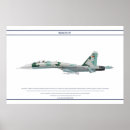 Search for flanker Su30