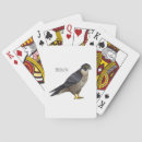 Search for bird playing cards Bird of prey