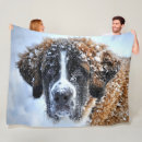 Search for saint bernard blankets Canine