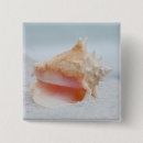 Search for shells badges Nautical