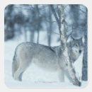 Search for wild side stickers Outdoors