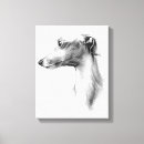 Search for greyhound canvas prints Whippet