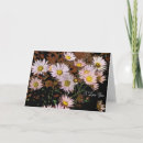 Search for unconditional cards Flowers