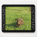 Search for doxies mouse mats Puppy