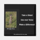 Search for marmot magnets Rodent