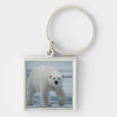 Search for ursus key rings Arctic