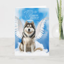Search for alaskan Mals