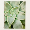 Search for succulent plant office supplies Flower