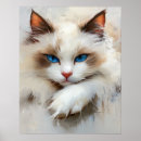 Search for blue eyes posters Ragdoll cat