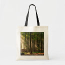Search for deciduous forest accessories Woodland