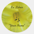Search for daylily stickers Pink