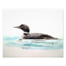 Search for loons art Nature
