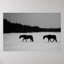 Search for snow white posters Equine