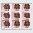Search for dachshund wrapping paper Black and tan dachshund