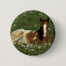 Search for lying down badges Equestrian