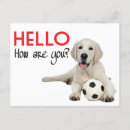 Search for yellow labrador retriever postcards Yellow lab puppy