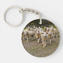 Search for woolly sheep key rings Herd