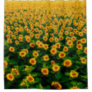 Search for sunflower bathroom accessories Field