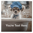 Search for bubble tiles Dog
