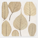 Search for botanical drawing stickers Leaves