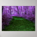 Search for forest path posters Woods