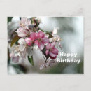 Search for crab apple cards Pink