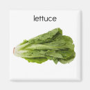 Search for lettuce magnets Food