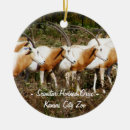 Search for african animals christmas tree decorations Savanna