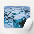 Search for endangered mouse mats Winter
