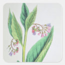 Search for 1800s stickers James