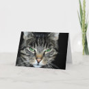 Search for accepted cards Cat